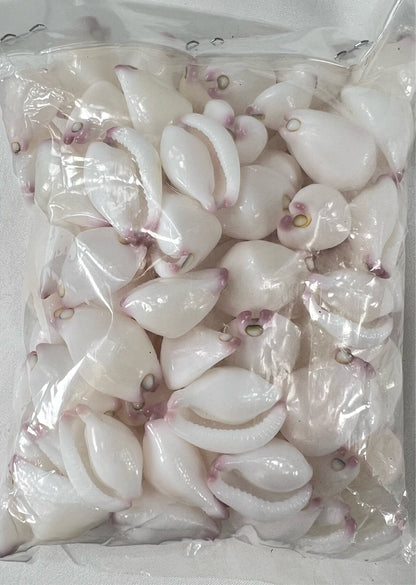 Small Puleoto 50pcs