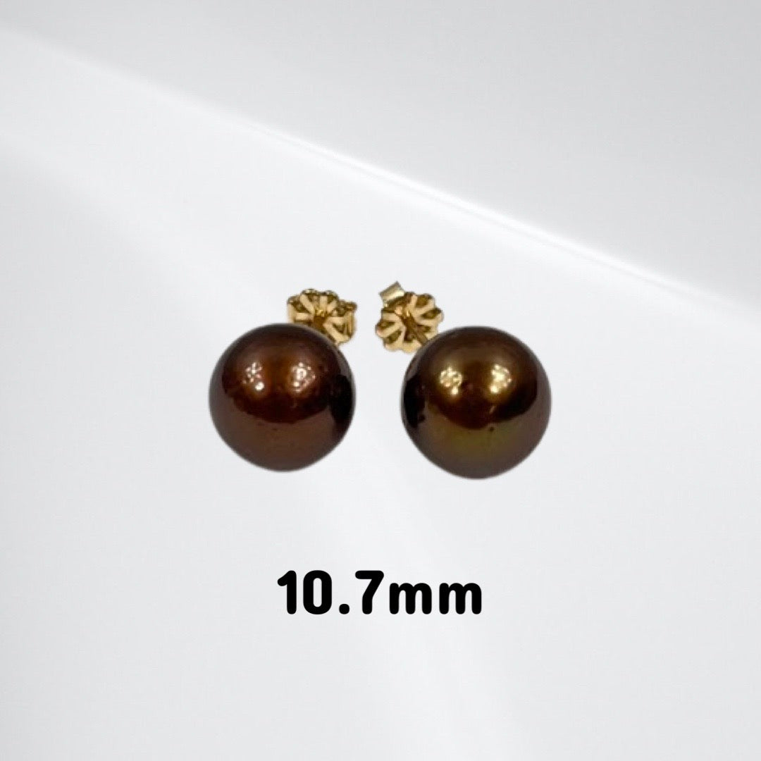 Tahitian pearl stud earrings