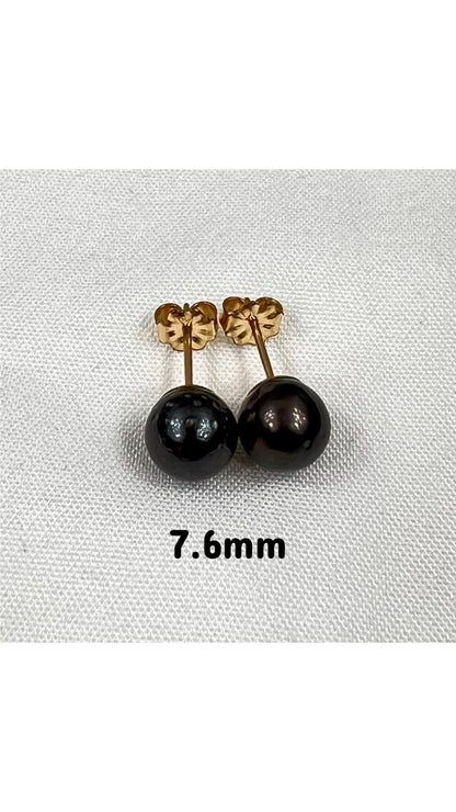 Tahitian pearl stud earrings