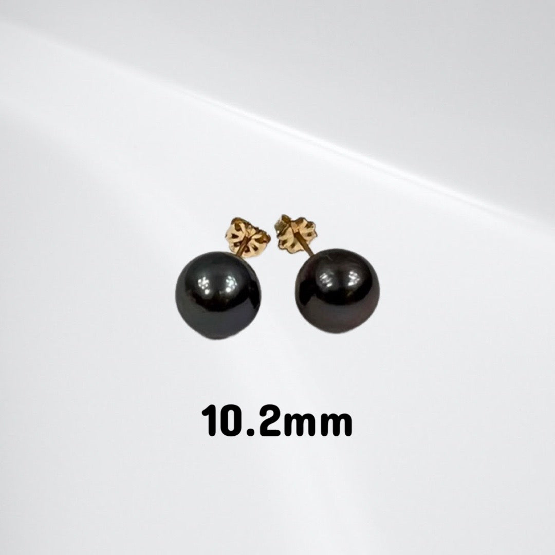 Tahitian pearl stud earrings