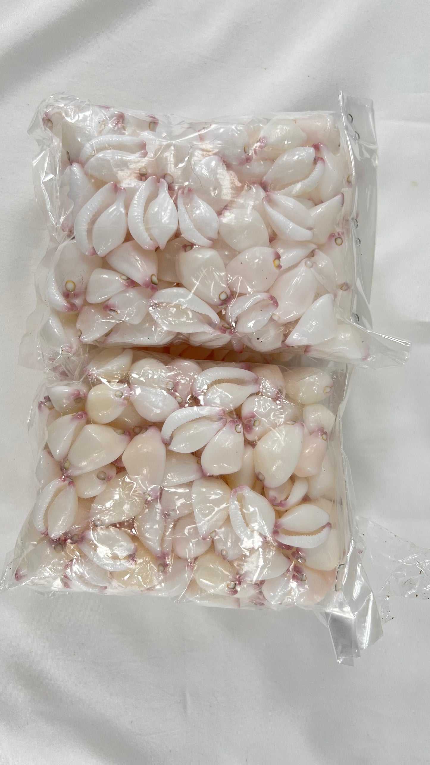 Small Puleoto 50pcs