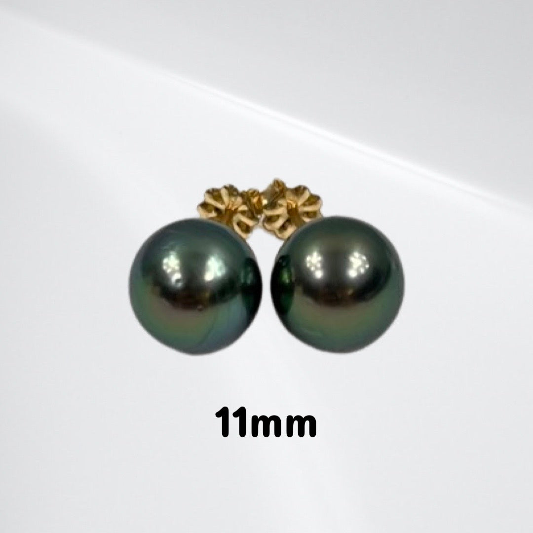 Tahitian pearl stud earrings