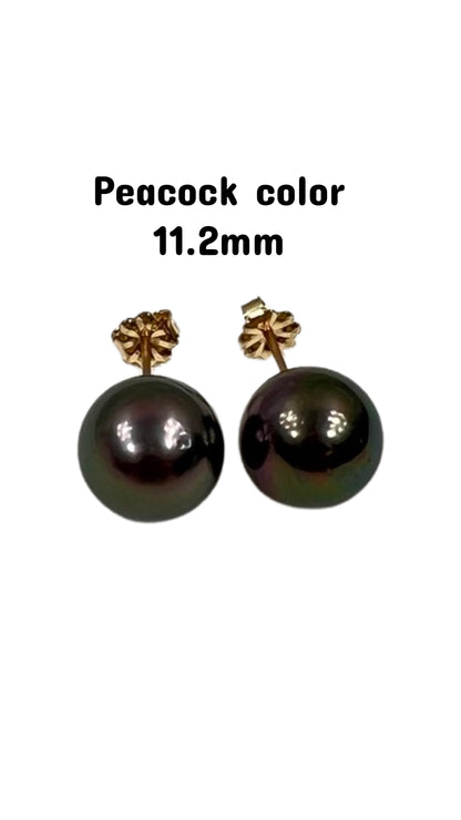 Tahitian pearl stud earrings