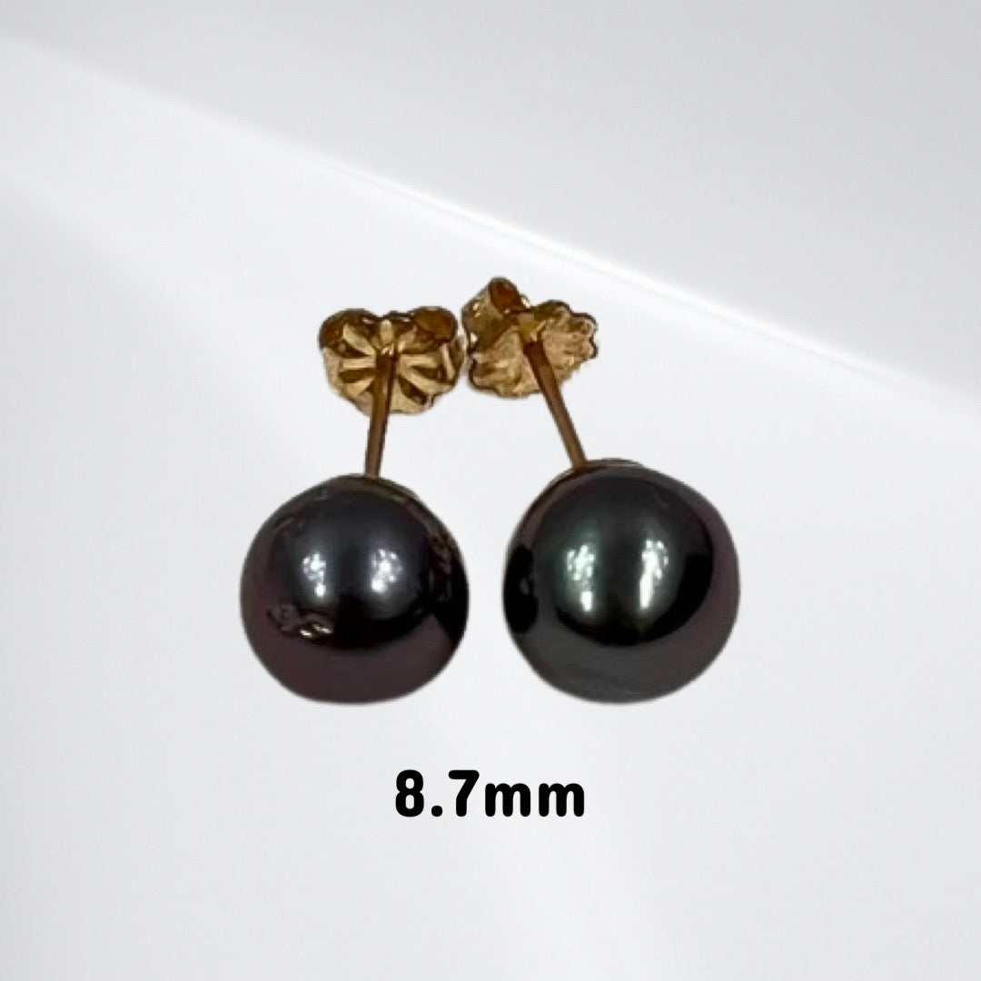 Tahitian pearl stud earrings