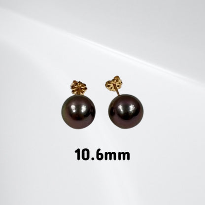 Tahitian pearl stud earrings