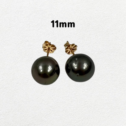 Tahitian pearl stud earrings