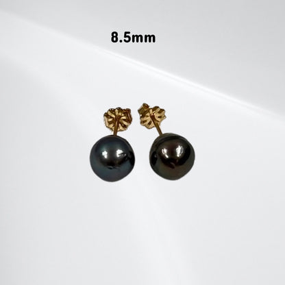 Tahitian pearl stud earrings